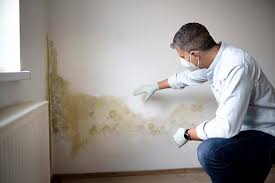 Mold Odor Removal Services in De Graff, OH